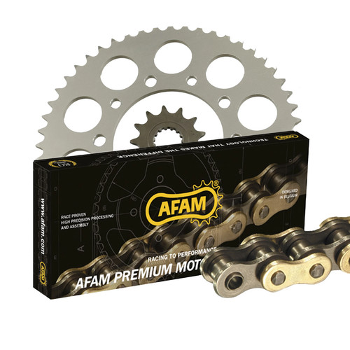 Kit catena afam per ducati - catena,